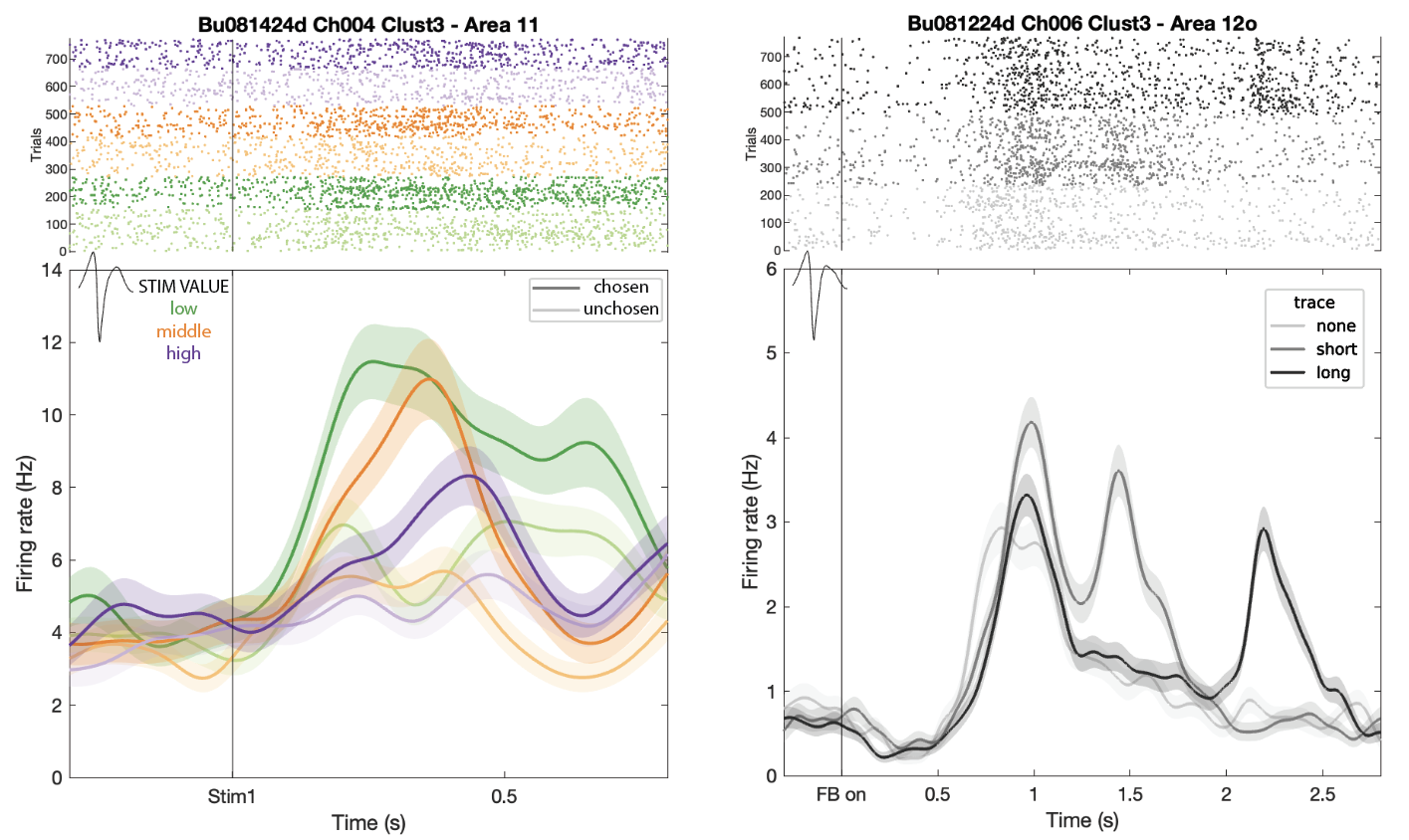 Poster on neural dynamics supporting affective reward learning